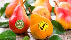 تراریخته یا GMO؟