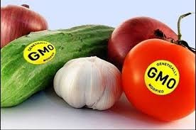 تراریخته یا GMO